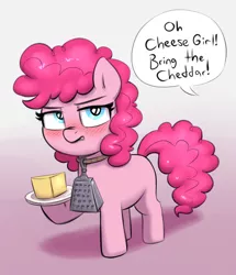 Size: 1230x1432 | Tagged: safe, alternate version, artist:heretichesh, derpibooru import, pinkie pie, earth pony, pony, blushing, cheese, cheese grater, collar, dialogue, food, image, jpeg, offscreen character, pinkie pie is not amused, plate, unamused