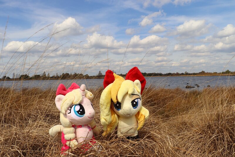 Size: 4096x2731 | Tagged: safe, artist:xeto_de, derpibooru import, oc, oc:wingblossom, pony, image, irl, jpeg, nationalpark de groote peel, netherlands, photo, plushie