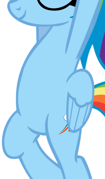 Size: 3813x6494 | Tagged: safe, artist:michaelsety, derpibooru import, edit, vector edit, rainbow dash, pegasus, pony, belly, bipedal, cropped, eyes closed, featureless crotch, image, pictures of bellies, png, simple background, smiling, solo, transparent background, vector