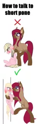 Size: 1755x5805 | Tagged: safe, artist:justapone, derpibooru import, oc, oc:heart struck, oc:strawberry sand, pegasus, pony, saddle arabian, against wall, angry, blushing, blushing profusely, colored, duo, ear fluff, embarrassed, female, how to talk to short people, image, looking down, looking into each others eyes, male, mare, pegasus oc, png, raised leg, red eyes, saddle arabian oc, simple background, size difference, smaller male, smiling, stallion, tall, taunting, tongue out, unshorn fetlocks, white background, wings