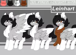 Size: 4000x2900 | Tagged: safe, artist:leinhart, derpibooru import, oc, oc:leinhart, pegasus, pony, clothes, image, open mouth, png, reference sheet, runes, scarf, smiling, wings