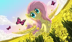 Size: 5600x3300 | Tagged: safe, artist:template93, derpibooru import, fluttershy, butterfly, insect, pegasus, pony, absurd resolution, cloud, flower, flower field, flowing mane, flowing tail, flying, grass, image, png, sun