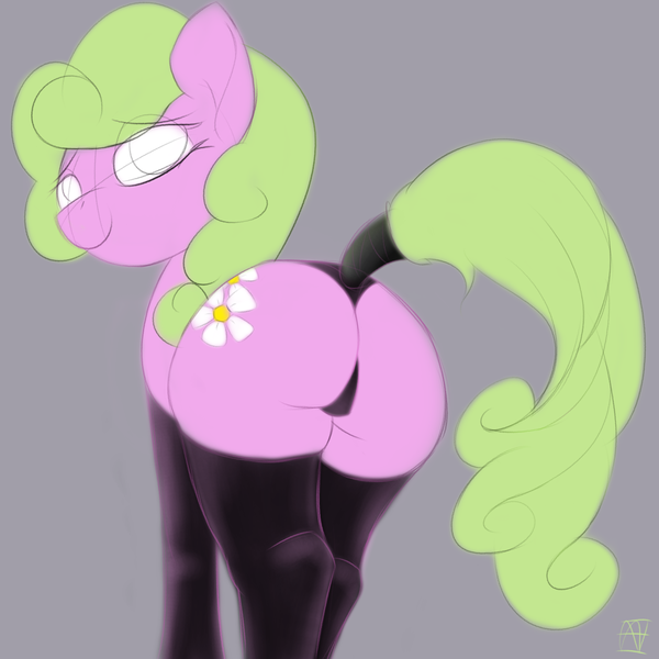 Size: 2000x2000 | Tagged: suggestive, artist:naen, derpibooru import, daisy, flower wishes, earth pony, pony, butt, clothes, colored sketch, female, high res, image, looking at you, looking back, mare, png, sketch, socks, stockings, tail wrap, thigh highs, underwear