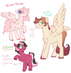 Size: 1757x1801 | Tagged: safe, artist:sugarysharky, derpibooru import, oc, oc:briar-rose, oc:oliver, oc:soft spot, unofficial characters only, earth pony, pegasus, pony, chest fluff, female, flower, flower in hair, half-siblings, image, male, mare, offspring, parent:big macintosh, parent:bulk biceps, parent:cheerilee, parent:fluttershy, parents:cheerimac, parents:flutterbulk, parents:fluttermac, png, siblings, simple background, stallion, step-siblings, transparent background, unshorn fetlocks, wavy mouth