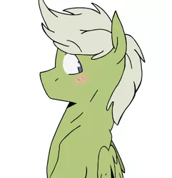 Size: 950x984 | Tagged: safe, artist:elizalikesapplejuice, derpibooru import, oc, oc:sora, pegasus, pony, blue eyes, blushing, cute, green coat, image, lol, png, solo