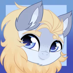 Size: 500x500 | Tagged: safe, artist:kryptidkitty, derpibooru import, oc, oc:ryder, unofficial characters only, hybrid, pegasus, pony, sphinx, image, png, solo