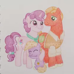 Size: 1050x1050 | Tagged: safe, artist:mmy_little_drawings, derpibooru import, big macintosh, little mac, sugar belle, pony, unicorn, clothes, colt, eyelashes, eyes closed, father and child, father and son, female, freckles, horn, hug, image, jpeg, male, mare, mother and child, mother and son, raised hoof, shipping, smiling, stallion, straight, sugarmac, traditional art, unshorn fetlocks, watermark