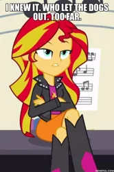 Size: 600x906 | Tagged: safe, derpibooru import, edit, edited screencap, screencap, sunset shimmer, equestria girls, rainbow rocks, caption, image, image macro, jpeg, solo, text, trolls world tour