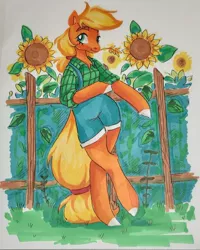 Size: 1080x1350 | Tagged: safe, artist:amidnighters, derpibooru import, applejack, earth pony, pony, semi-anthro, clothes, female, flower, hay stalk, image, jpeg, mare, overalls, shirt, solo, straw in mouth, sunflower, traditional art