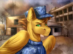 Size: 1280x960 | Tagged: safe, artist:raychelrage, derpibooru import, oc, pegasus, pony, background, brown hair, clothes, commission, green eyes, image, jpeg, military, military uniform, pegasus oc, solo, uniform, wings