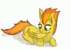 Size: 4096x2924 | Tagged: safe, artist:simplesample, derpibooru import, spitfire, pegasus, grooming, high res, image, jpeg, preening, simple background, solo, white background