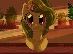 Size: 800x600 | Tagged: safe, artist:rangelost, derpibooru import, oc, unofficial characters only, pony, cyoa:d20 pony, bust, evening, female, flower, flower in hair, flower pot, image, indoors, looking at you, mare, png, shop, smiling, solo