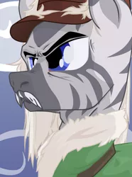 Size: 1281x1724 | Tagged: safe, artist:aaronmk, derpibooru import, zebra, equestria at war mod, clothes, coat, facial hair, hat, image, moustache, png, uniform