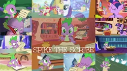 Size: 1280x721 | Tagged: safe, derpibooru import, edit, edited screencap, editor:quoterific, screencap, apple bloom, rarity, scootaloo, spike, sweetie belle, twilight sparkle, dragon, earth pony, pegasus, pony, unicorn, 28 pranks later, bats!, between dark and dawn, dragon dropped, just for sidekicks, lesson zero, owl's well that ends well, ppov, secret of my excess, the crystalling, the cutie mark chronicles, the cutie pox, the mysterious mare do well, carousel boutique, cute, cutie mark crusaders, female, filly, golden oaks library, image, inkwell, library, male, mare, png, ponyville, quill, scroll, spikabetes, stallion, unicorn twilight