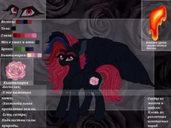 Size: 1024x765 | Tagged: safe, alternate version, artist:maryhoovesfield, derpibooru import, oc, unofficial characters only, pegasus, pony, cyrillic, ear fluff, eye, eyelashes, eyes, flower, image, jpeg, pegasus oc, reference sheet, rose, russian, solo, wings