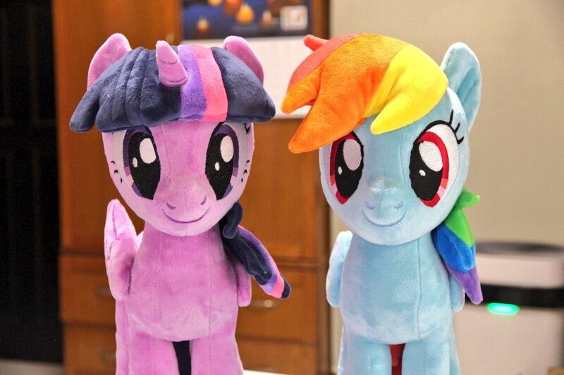 Size: 1024x682 | Tagged: safe, artist:nekokevin, derpibooru import, rainbow dash, twilight sparkle, twilight sparkle (alicorn), alicorn, pegasus, pony, calendar, duo, female, image, irl, jpeg, looking at you, mare, photo, plushie, smiling