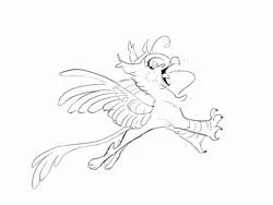 Size: 2224x1668 | Tagged: safe, artist:frozenspots, derpibooru import, oc, unofficial characters only, gryphon, image, jpeg, open mouth, sketch, smiling, solo, spread wings, wings
