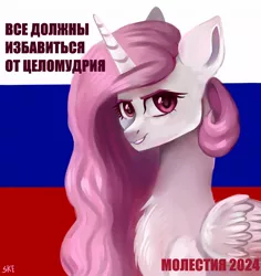 Size: 1000x1060 | Tagged: safe, artist:ske, derpibooru import, princess celestia, alicorn, pony, princess molestia, image, jpeg, russian meme, solo