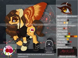 Size: 1024x765 | Tagged: safe, artist:maryhoovesfield, derpibooru import, oc, unofficial characters only, pegasus, pony, clothes, cyrillic, ear fluff, ear piercing, earring, eye scar, eyelashes, floppy ears, image, jewelry, jpeg, pegasus oc, piercing, raised hoof, reference sheet, russian, scar, solo, wings
