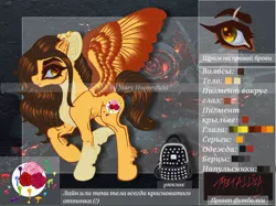 Size: 1024x765 | Tagged: safe, alternate version, artist:maryhoovesfield, derpibooru import, oc, unofficial characters only, pegasus, pony, cyrillic, ear fluff, ear piercing, earring, eye scar, eyelashes, floppy ears, image, jewelry, jpeg, pegasus oc, piercing, raised hoof, reference sheet, russian, scar, solo, wings