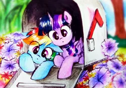 Size: 3344x2344 | Tagged: safe, artist:liaaqila, derpibooru import, rainbow dash, twilight sparkle, twilight sparkle (alicorn), alicorn, pegasus, pony, commission, cute, dashabetes, eye clipping through hair, female, flower, image, jpeg, lesbian, looking at you, mailbox, mare, micro, shipping, tiny, tiny ponies, traditional art, twiabetes, twidash