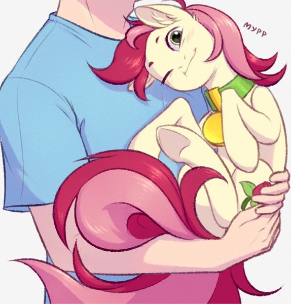 Size: 1915x2001 | Tagged: safe, artist:barlerd, derpibooru import, roseluck, human, pony, behaving like a cat, blushing, collar, commission, commissioner:doom9454, cute, cyrillic, holding a pony, image, jpeg, one eye closed, pet tag, pony pet, purring, rosepet, russian, smiling, translated in the description