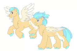 Size: 1280x854 | Tagged: safe, artist:itstechtock, derpibooru import, oc, oc:jellyfish, oc:sea breeze, unofficial characters only, hybrid, pegasus, pony, image, interspecies offspring, jpeg, male, offspring, parent:scootaloo, parent:terramar, parents:terraloo, simple background, stallion, white background