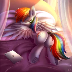 Size: 5000x5000 | Tagged: safe, alternate version, artist:atlas-66, derpibooru import, rainbow dash, pegasus, pony, adorasexy, bed, butt, clothes, cute, day, dock, dock fluff, eyes closed, female, frog (hoof), grooming, image, ipad, lying down, mare, png, prone, rainbutt dash, see-through, sexy, socks, stupid sexy rainbow dash, tablet, thigh highs, underhoof, wings