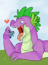Size: 960x1280 | Tagged: safe, artist:soft-arthropod, derpibooru import, princess ember, spike, dragon, blushing, dragon lord ember, drool, female, fetish, heart, image, imminent vore, jpeg, male, open mouth, salivating, teeth, vore