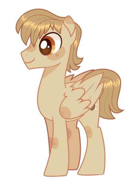 Size: 2637x3695 | Tagged: safe, artist:auroramint, derpibooru import, oc, oc:sky strummer, pegasus, pony, image, male, png, reference, solo, stallion