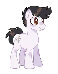 Size: 2642x3350 | Tagged: safe, artist:auroramint, derpibooru import, oc, oc:wild tempo, earth pony, pony, image, male, png, reference, solo, stallion