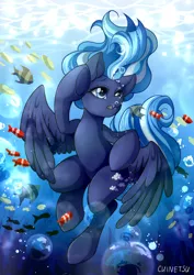 Size: 1280x1811 | Tagged: safe, artist:chinetsuwinx, derpibooru import, oc, unofficial characters only, fish, pegasus, pony, blue eyes, bubble, commission, crepuscular rays, eyes closed, feather, flowing mane, flowing tail, image, jpeg, ocean, open mouth, solo, sunlight, swimming, underwater, water, wings