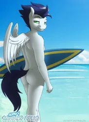 Size: 5500x7500 | Tagged: suggestive, artist:skipsy, paywalled source, soarin', anthro, pegasus, art pack:skipsy's summer folio, casual nudity, day, image, jpeg, looking back, male, missing cutie mark, nudity, ocean, solo, solo male, surfboard