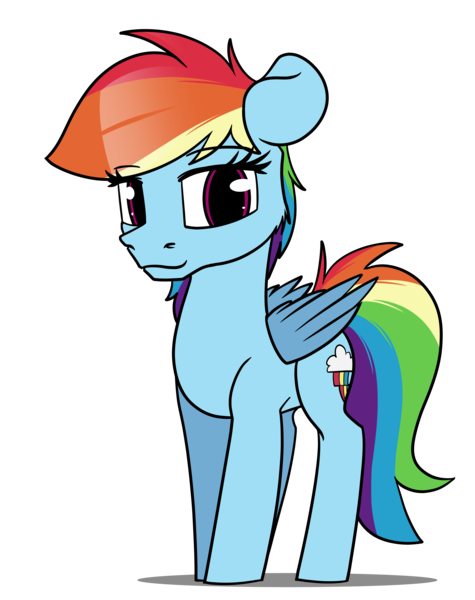 Size: 3800x4800 | Tagged: source needed, safe, artist:dacaoo, derpibooru import, rainbow dash, pegasus, pony, image, png, simple background, transparent background