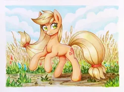 Size: 900x666 | Tagged: safe, artist:asimos, derpibooru import, applejack, earth pony, pony, female, image, jpeg, mare, markers, scenery, smiling, solo, traditional art