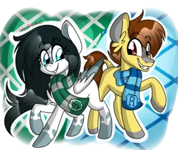 Size: 1280x1082 | Tagged: safe, artist:ladylullabystar, derpibooru import, oc, unofficial characters only, earth pony, pegasus, pony, clothes, female, image, male, mare, png, ravenclaw, scarf, slytherin, stallion