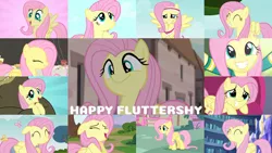 Size: 1280x721 | Tagged: safe, derpibooru import, edit, edited screencap, editor:quoterific, screencap, fluttershy, bear, butterfly, insect, pegasus, pony, a bird in the hoof, all bottled up, daring don't, do princesses dream of magic sheep, filli vanilli, hurricane fluttershy, may the best pet win, rainbow falls, scare master, stare master, sweet and smoky, the cutie map, too many pinkie pies, ^^, cute, eyes closed, female, grin, image, jpeg, looking up, mare, open mouth, shyabetes, smiling, twilight's castle