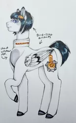 Size: 2354x3804 | Tagged: safe, artist:theartoffallensakura, derpibooru import, ponified, pegasus, pony, bruno buccellati, image, jojo's bizarre adventure, jpeg, solo