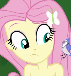 Size: 741x788 | Tagged: suggestive, alternate version, artist:twinet, derpibooru import, edit, edited screencap, screencap, fluttershy, bird, blue jay, equestria girls, legend of everfree, breasts, busty fluttershy, exhibitionism, female, hairpin, image, nudity, outdoors, png, practitioner of naturism, public nudity, solo, solo female