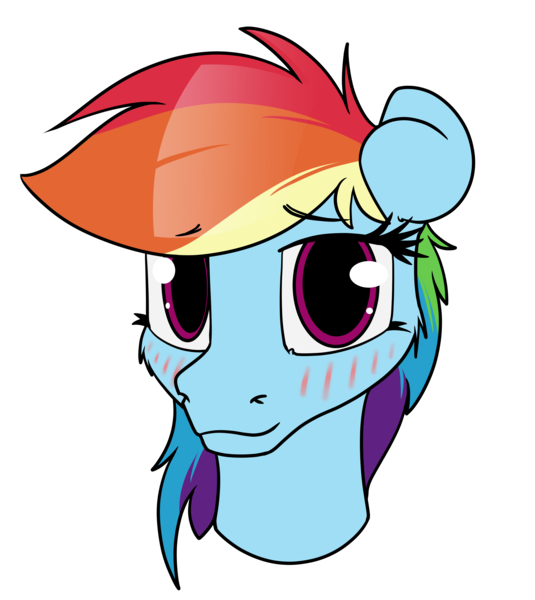 Safe Artist Dacaoo Derpibooru Import Rainbow Dash Image Png Twibooru