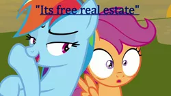 Size: 1280x720 | Tagged: safe, derpibooru import, edit, edited screencap, screencap, rainbow dash, scootaloo, pegasus, pony, sleepless in ponyville, duo, female, filly, image, mare, meme, png, tim and eric