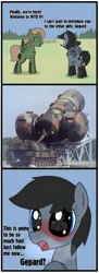 Size: 1500x4143 | Tagged: suggestive, artist:superderpybot, ponybooru import, ponified, unofficial characters only, original species, pony, tank pony, 3 panel comic, amx-30r, anti-aircraft gun, aroused, blushing, comic, female, gepard 1a2, image, irl, military, photo, png, ponified vehicle