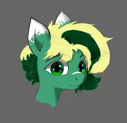 Size: 2396x2322 | Tagged: safe, artist:kolonsky, derpibooru import, oc, oc:inex code, unofficial characters only, pegasus, pony, bust, image, looking at you, male, png, simple background, smiling, solo, stallion