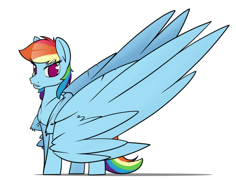 Size: 6300x4800 | Tagged: safe, artist:dacaoo, derpibooru import, rainbow dash, pegasus, pony, absurd resolution, female, image, impossibly large wings, large wings, mare, png, simple background, solo, transparent background, wings