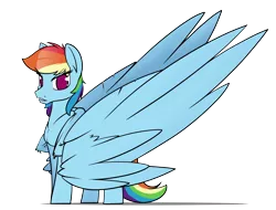 Size: 6300x4800 | Tagged: safe, artist:dacaoo, derpibooru import, rainbow dash, pegasus, pony, absurd resolution, female, image, impossibly large wings, large wings, mare, png, simple background, solo, transparent background, wings