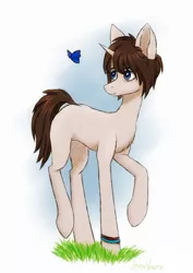 Size: 1280x1813 | Tagged: safe, artist:ajaxorsomething, derpibooru import, ponified, butterfly, insect, pony, unicorn, female, image, jpeg, life is strange, mare, maxine caulfield, solo