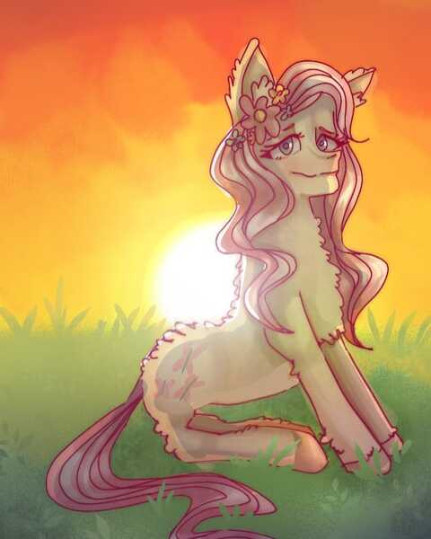 Size: 732x915 | Tagged: safe, artist:venera___o, derpibooru import, fluttershy, pegasus, pony, female, flower, flower in hair, fluffy, grass, image, jpeg, mare, outdoors, sitting, smiling, solo, sunset, wingless