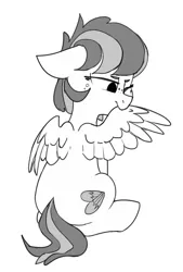 Size: 585x865 | Tagged: safe, artist:tallaferroxiv, oc, oc:starry skies hailstorm, unofficial characters only, pegasus, pony, female, floppy ears, freckles, grayscale, grooming, image, mare, monochrome, one eye closed, pegasus oc, png, preening, sitting, solo, wings