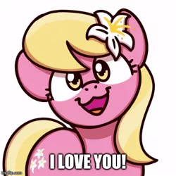 Size: 500x500 | Tagged: safe, artist:sugar morning, derpibooru import, edit, editor:glimenade, lily, lily valley, caption, i love you, image, imgflip, jpeg, sugar morning's smiling ponies, text