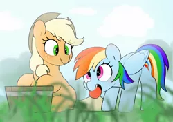 Size: 2048x1446 | Tagged: safe, artist:mochi_nation, derpibooru import, applejack, rainbow dash, earth pony, pegasus, pony, bent over, bucket, cloud, complex background, digital art, folded wings, foliage, grass, image, jpeg, mouth hold, open mouth, sitting, smiling, turned head, wings